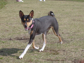 photo.jpg